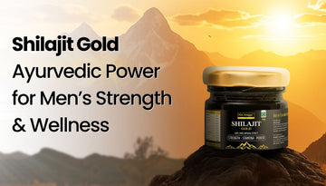 Shilajit Gold: Ayurvedic Power for Men’s Strength & Wellness