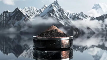 Pure Himalayan Shilajit