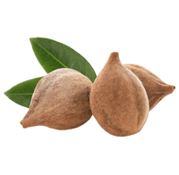 Bibhitaki