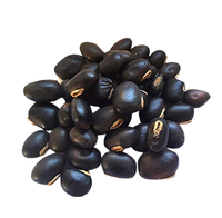 Karela