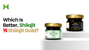 Shilajit or Shilajit Gold? Understanding the Real Difference