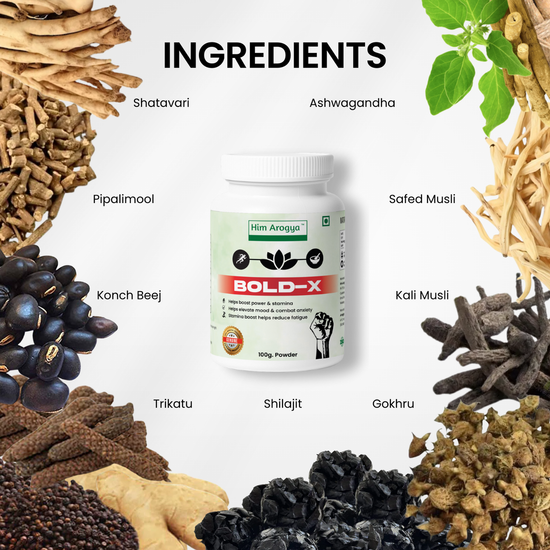 Bold-X | Daily Vitality the Ayurvedic Way | 100g