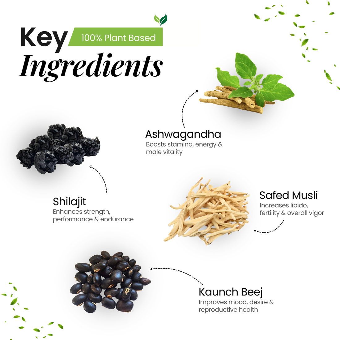 Bold-X | Ayurvedic Energy Supplement – Herbal Stamina Booster for Men