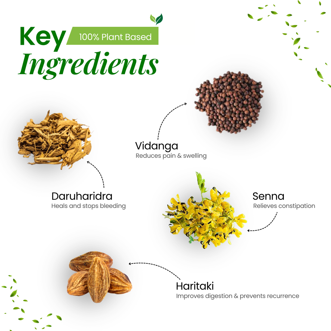 PILEXA | Ayurvedic Support for Piles Relief Naturally | 100g