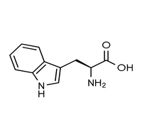 Amino Acids