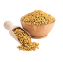 Dana Methi
