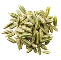 Fennel