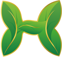 Him Arogya | Pure Ayurvedic Wellness for Modern Living
