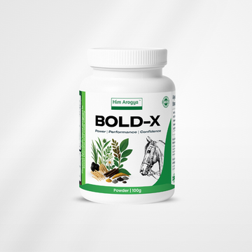 Bold-X | Daily Vitality the Ayurvedic Way | 100g