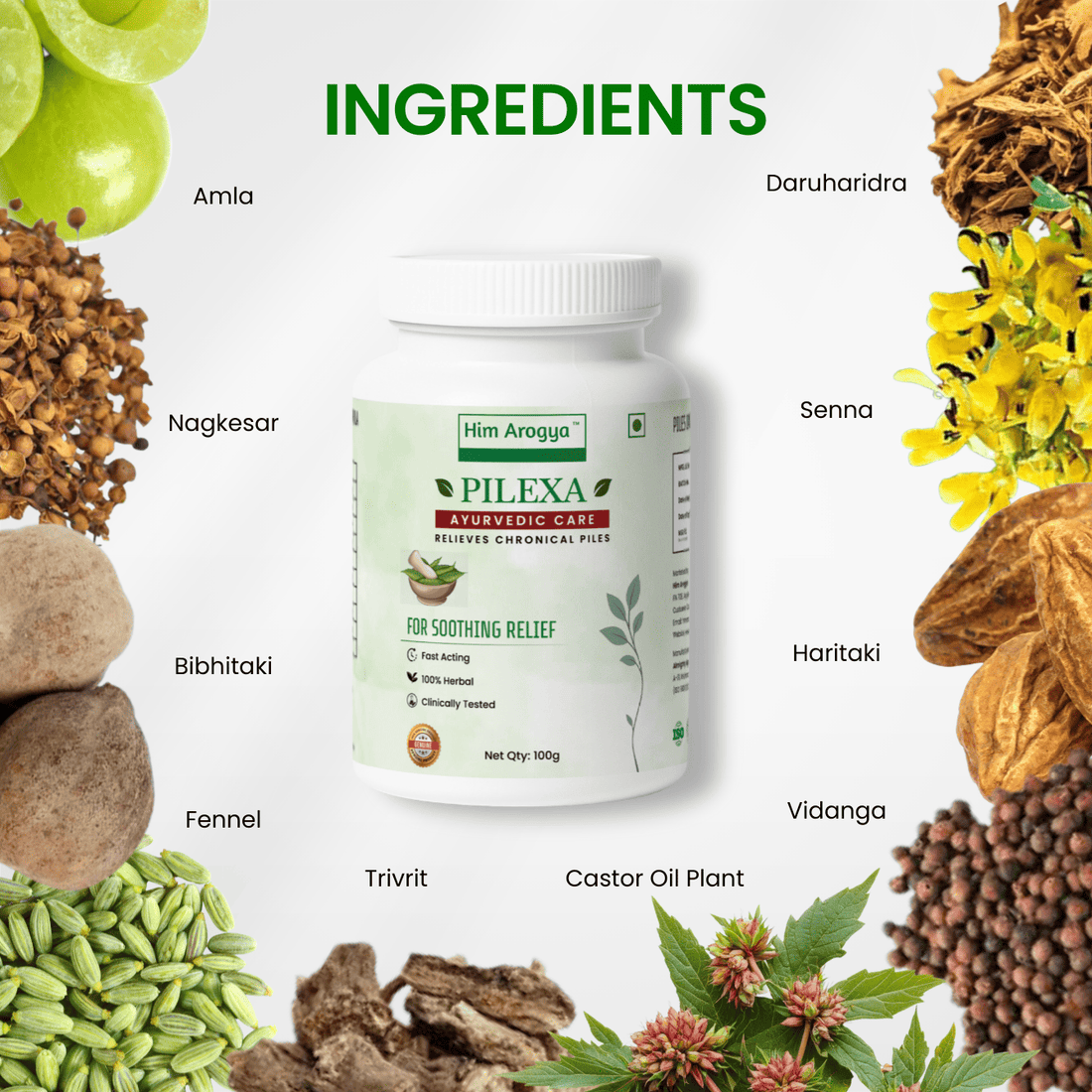 PILEXA | Ayurvedic Support for Piles Relief Naturally | 100g